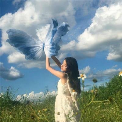 双面追缉